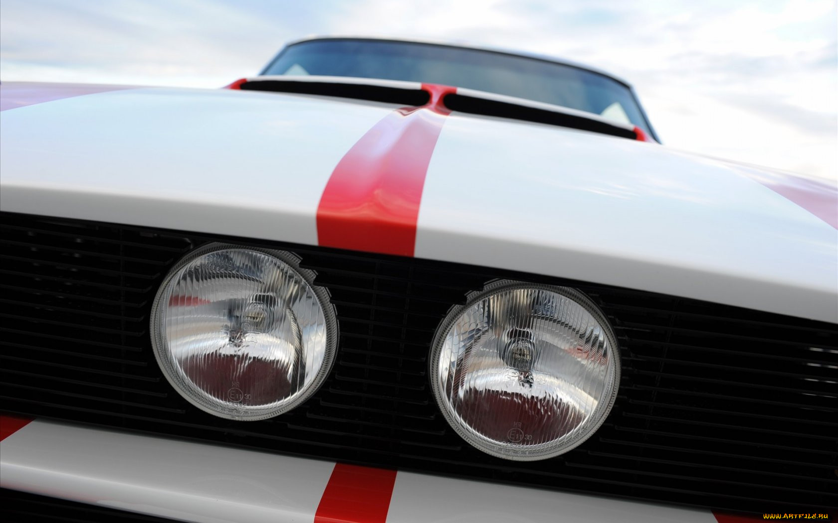 mustang, shelby, , , 